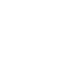 Assement Icon